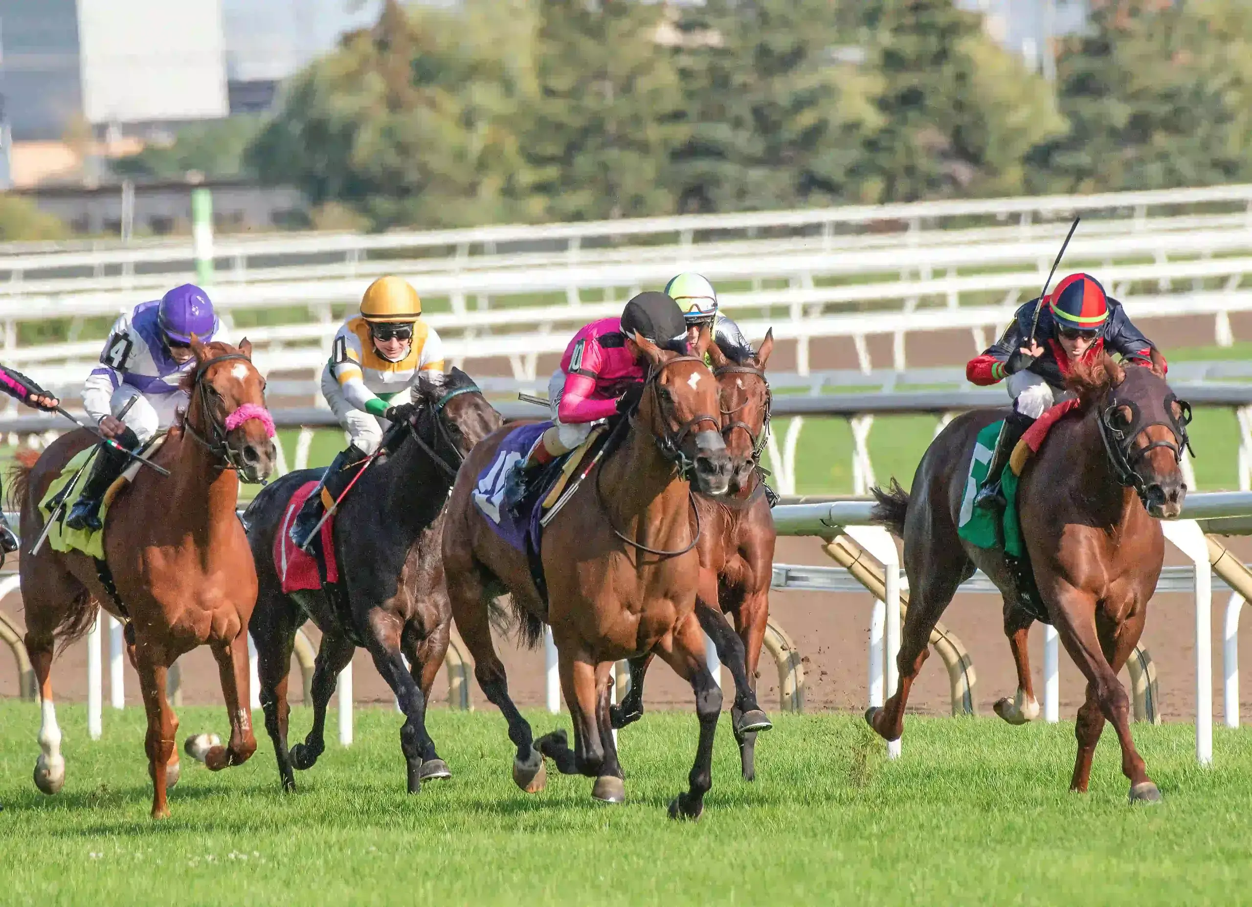 Fête du Cheval 2025 at Hippodrome Paris-Vincennes: A Family Day of Horses, Races & Festivities