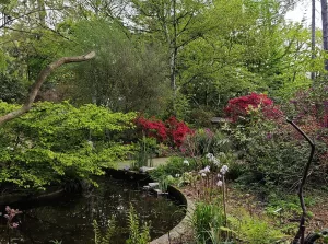 Parc Floral de Paris