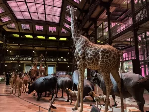Paris Trip for Family with Kids: The Ultimate Guide